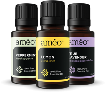 Lemon Citrus Limon Lemon Essential Oil Is Crisp And - Ameo Essential Oils (555x368), Png Download