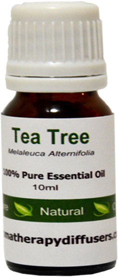 Pure Essential Oil Standard Tea Tree Free Shipping - Essential Oil (532x800), Png Download