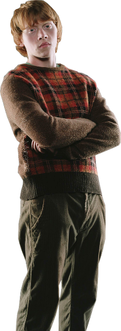 Ron Weasley Png Download - Rupert Grint Signed Auto'd Harry Potter 8x10 Photo (238x652), Png Download