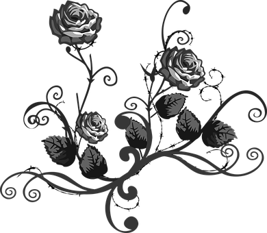 Rose Black White Floral Elegant Elegance D - Black & White Flowers (390x340), Png Download