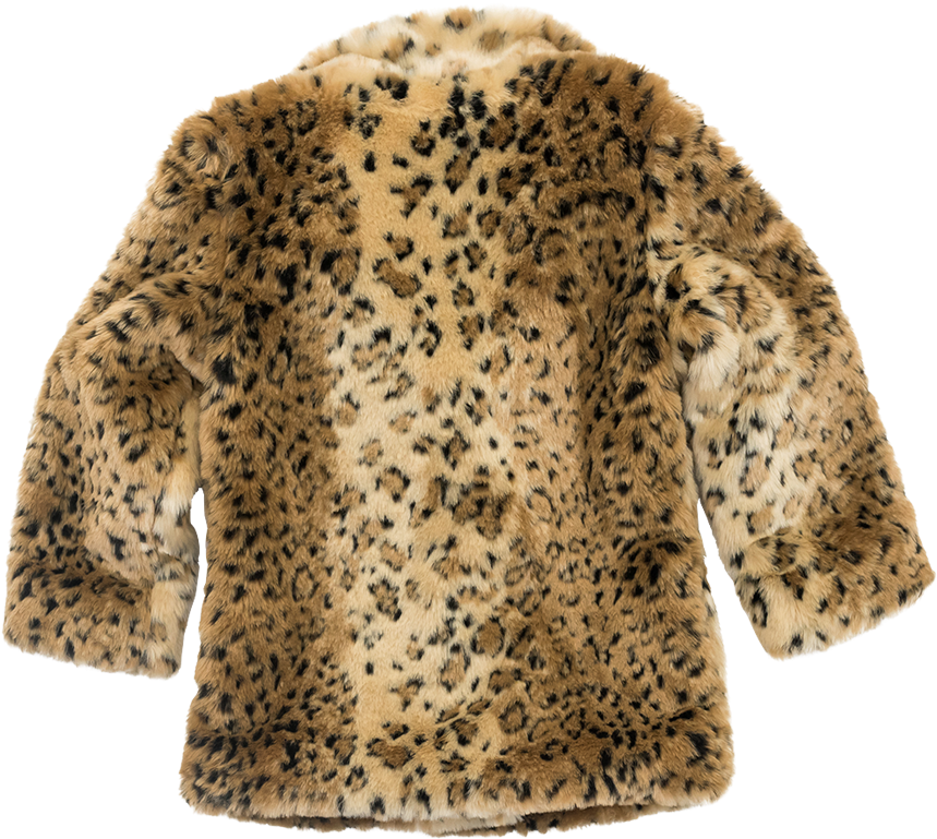 Leopard Fur Coat Png Image - Fur Clothing (1000x1000), Png Download