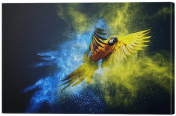 Flying Ara Parrot Over Colourful Powder Explosion Canvas - Epson Sure Color S40600 (400x400), Png Download