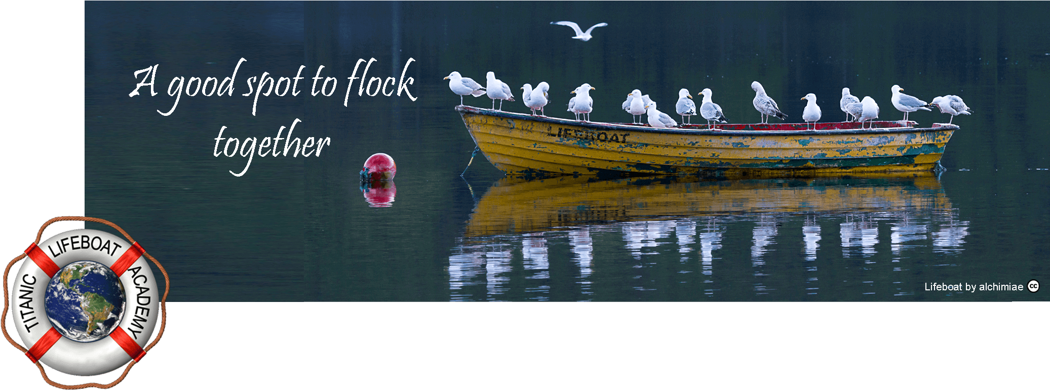 Lifeboat Gull Masthead With Logo 6 A Compressed - Climate Change (2110x782), Png Download