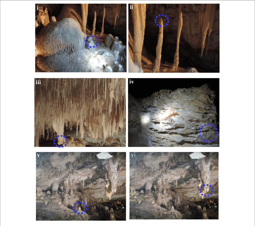 Cave Speleothems Collected From Lake Cave (iv) Moondyne - Frontiers Media (850x754), Png Download