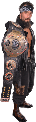 Ring Of Honor Heavyweight Champion - Jay Briscoe Roh Champion (300x500), Png Download