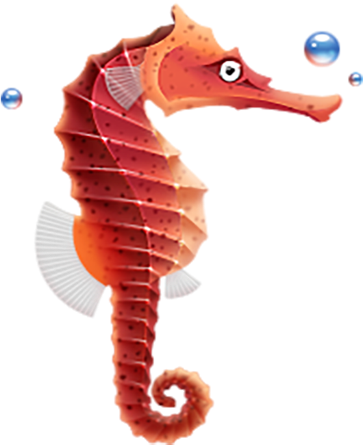 Swedish Fish Store - Seahorse Ico (663x663), Png Download