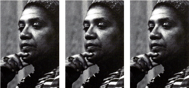 Audre Lorde, Austin, Texas, 1980 - Mother (670x335), Png Download