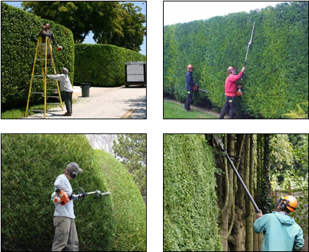 Landscape Services Dallas Lawn Care - Dallas (500x400), Png Download