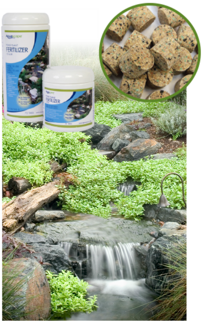 Aquatic Plants & The Fish Waste Nutrients That Feed - Streams (411x645), Png Download