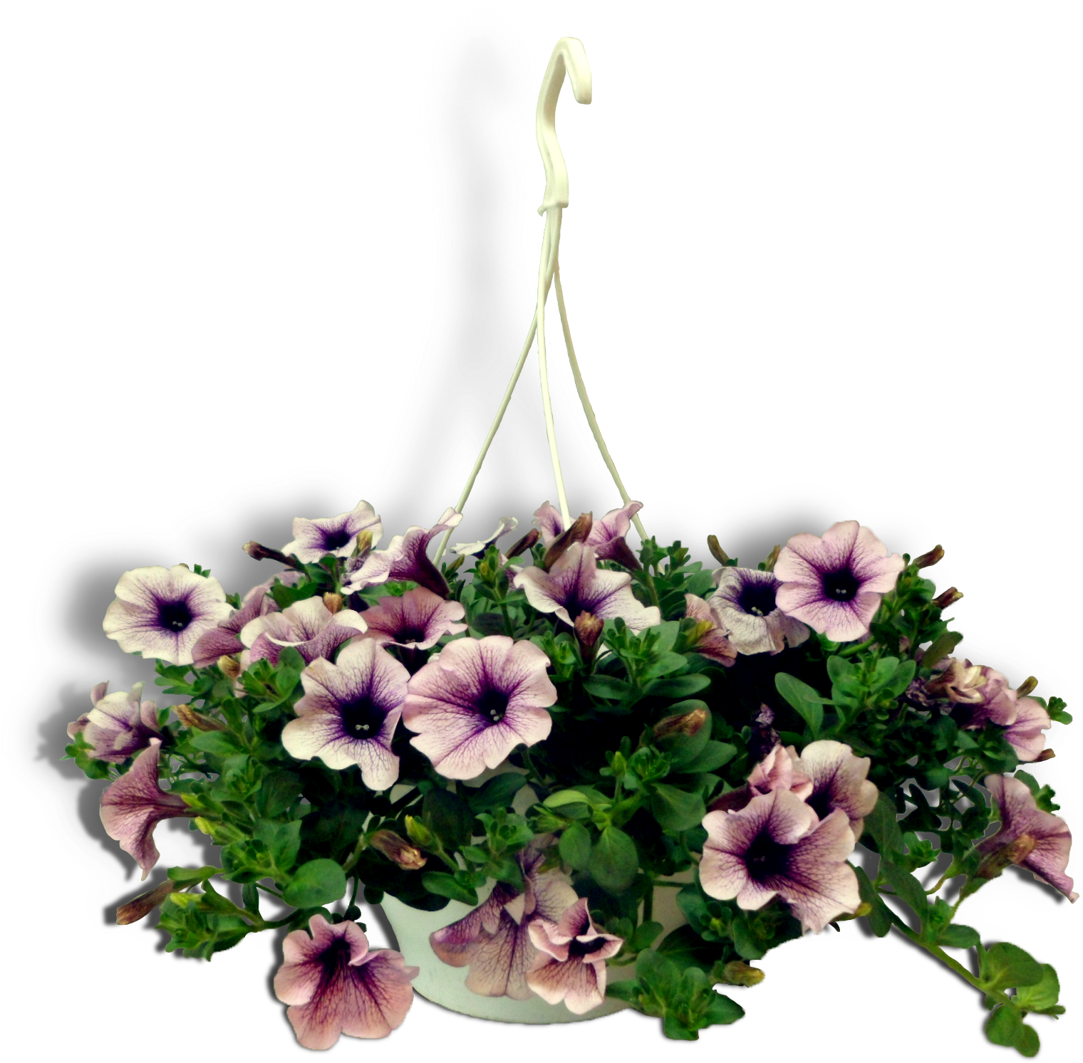 Visit - Bouquet (1605x1541), Png Download