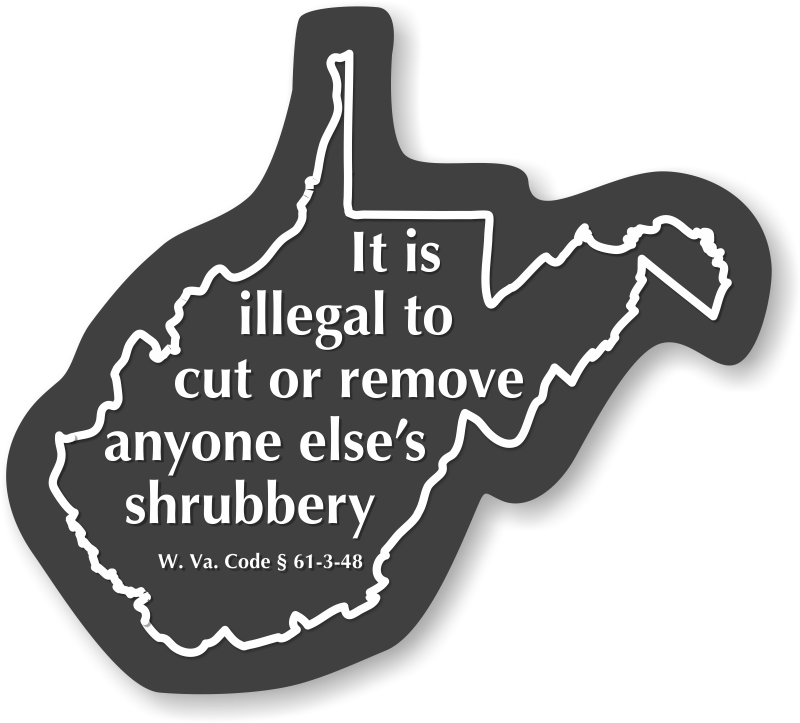 West Virginia Law Illegal To Cut Anyone's Shrubbery - Disco Ball (800x800), Png Download