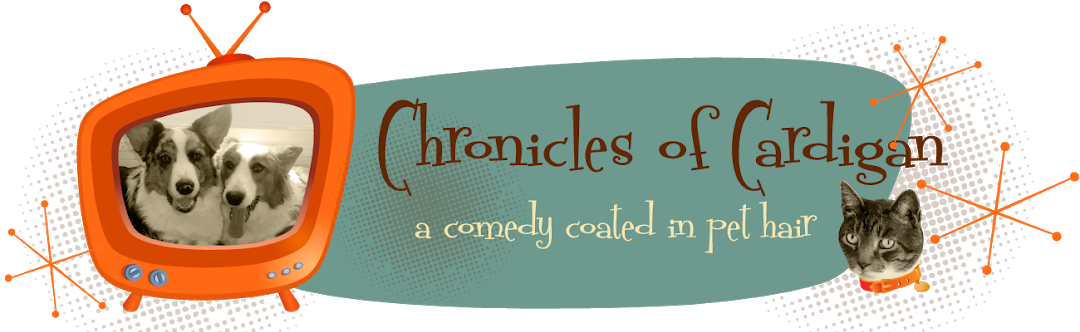 The Chronicles Of Cardigan - Cat Girl Ornament (round) (1080x332), Png Download