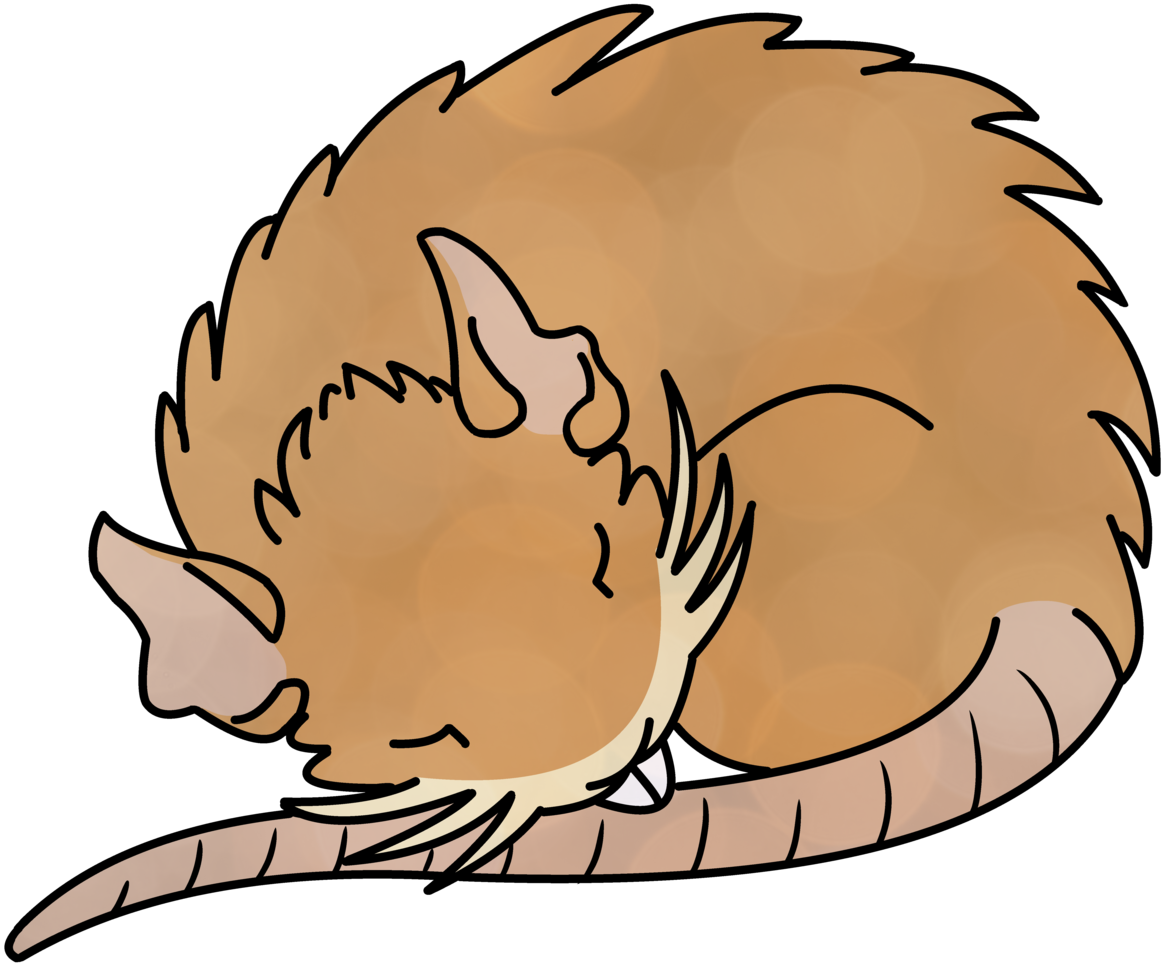 Pokemon Raticate Pkmnart Artists On Tumblr Illustration - Illustration (1280x1280), Png Download