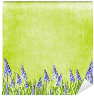 Grass (400x400), Png Download