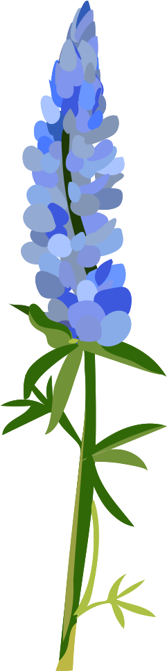 The Library Voice - Portable Network Graphics (436x1000), Png Download