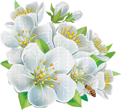 Flowers - Hd Clipart White Flowers Png (400x363), Png Download