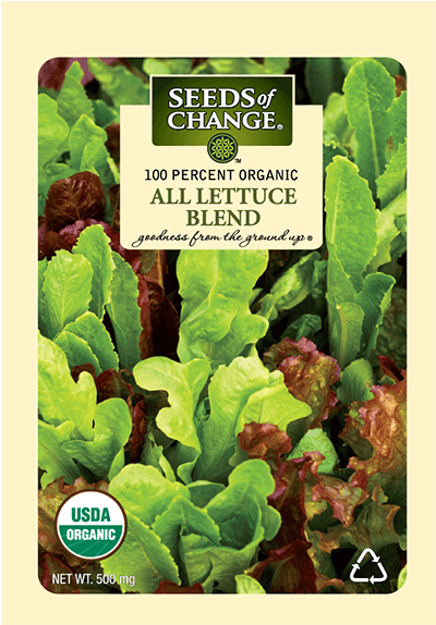 Organic All Lettuce Mix Seeds - Seeds Of Change All Lettuce Mix Pack (573x573), Png Download