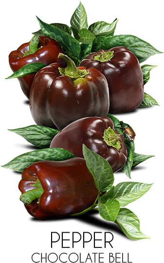Sweet And Chili Peppers (357x540), Png Download