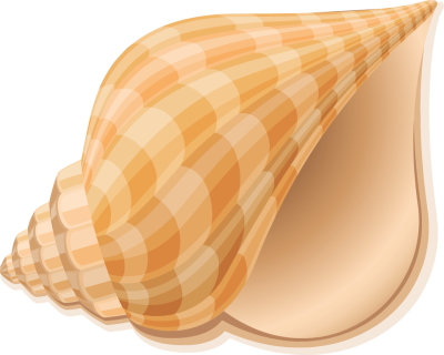 Conch Shell Pricing Free Tags Sea World Usage To Insert - Seashell (400x320), Png Download