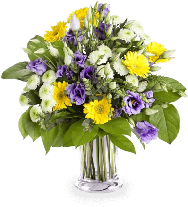 Lisianthus And Gerberas - Bouquet (480x480), Png Download