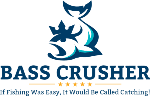 Plusinno Fishing Net Fish Landing Net, Foldable Collapsible - Health Blog (500x322), Png Download