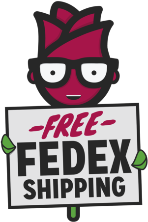 Buy Wholesale Baby's Breath Flowers In Bulk - Cartoon (427x480), Png Download