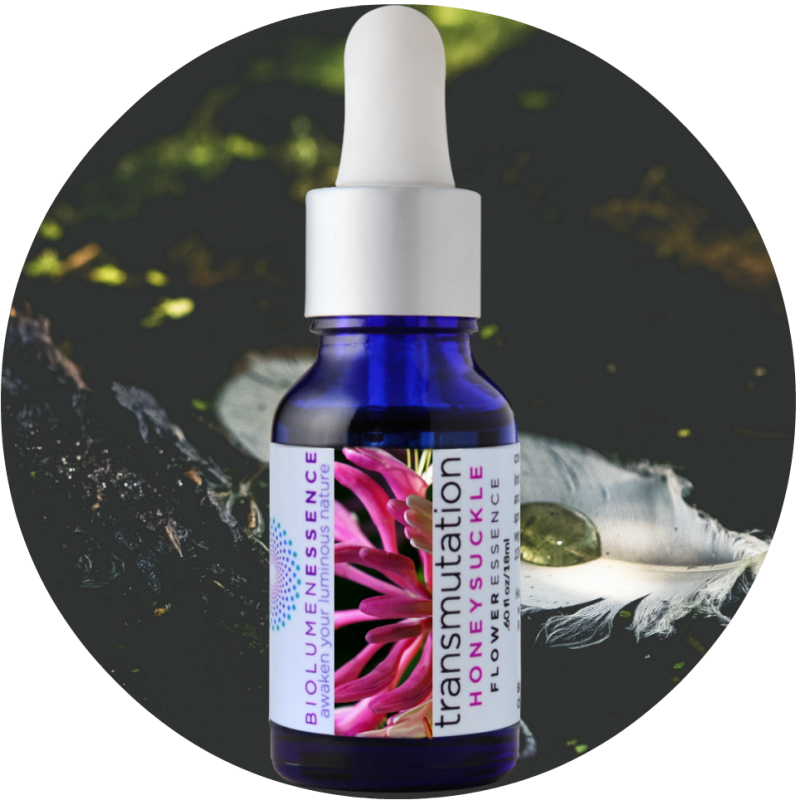 Transmutation Circle - 22 Dias De Relaxamento - Música Relaxante Para O Seu (800x800), Png Download