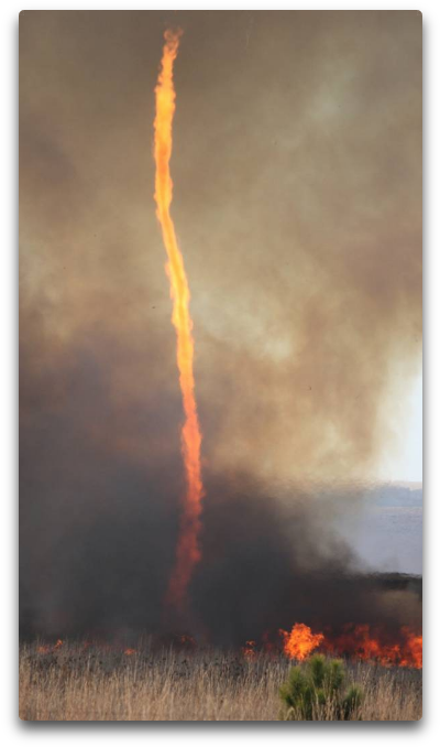 Firedog Ii - Painting (441x735), Png Download