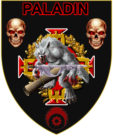 Paladins Are A Class Of White Knight Members Of The - Brotherhood Of Steel Paladin Knight (447x538), Png Download