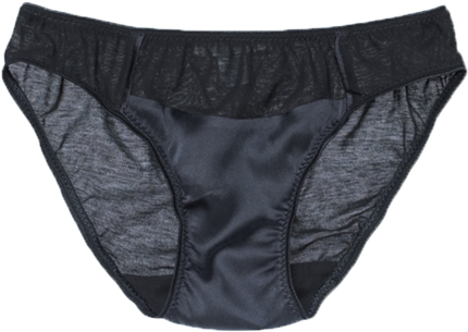 Liselott Panty Black - Panties (540x600), Png Download