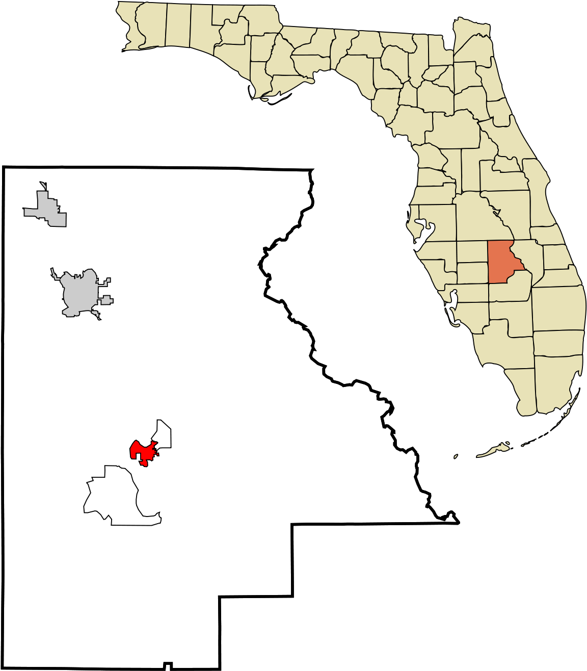County Florida (1200x1385), Png Download
