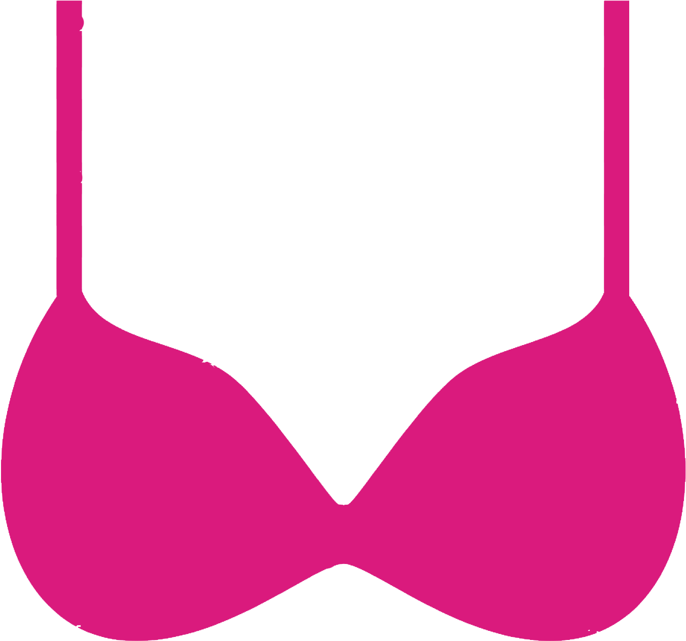 Picture Transparent Download Red Rose Garments Slips - Bra (1464x1359), Png Download