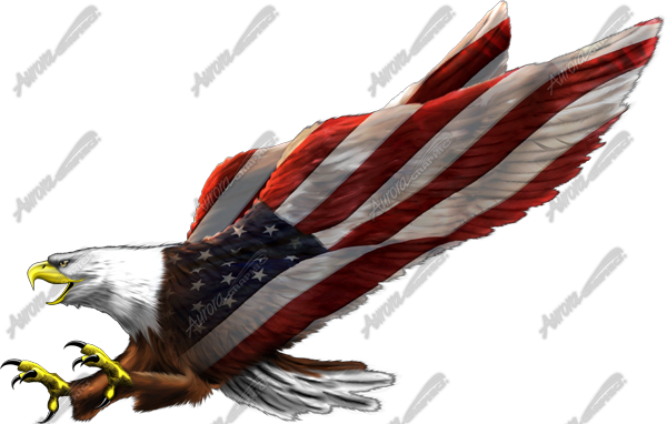 Aurora Graphics Eagle (600x382), Png Download
