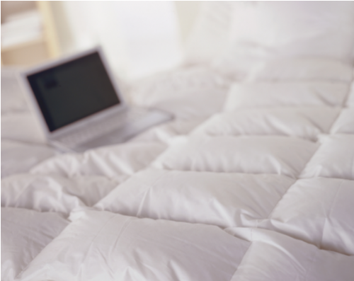 Awesome Anti Allergy Bedding Odin Medium Duck Down - Mattress (500x500), Png Download