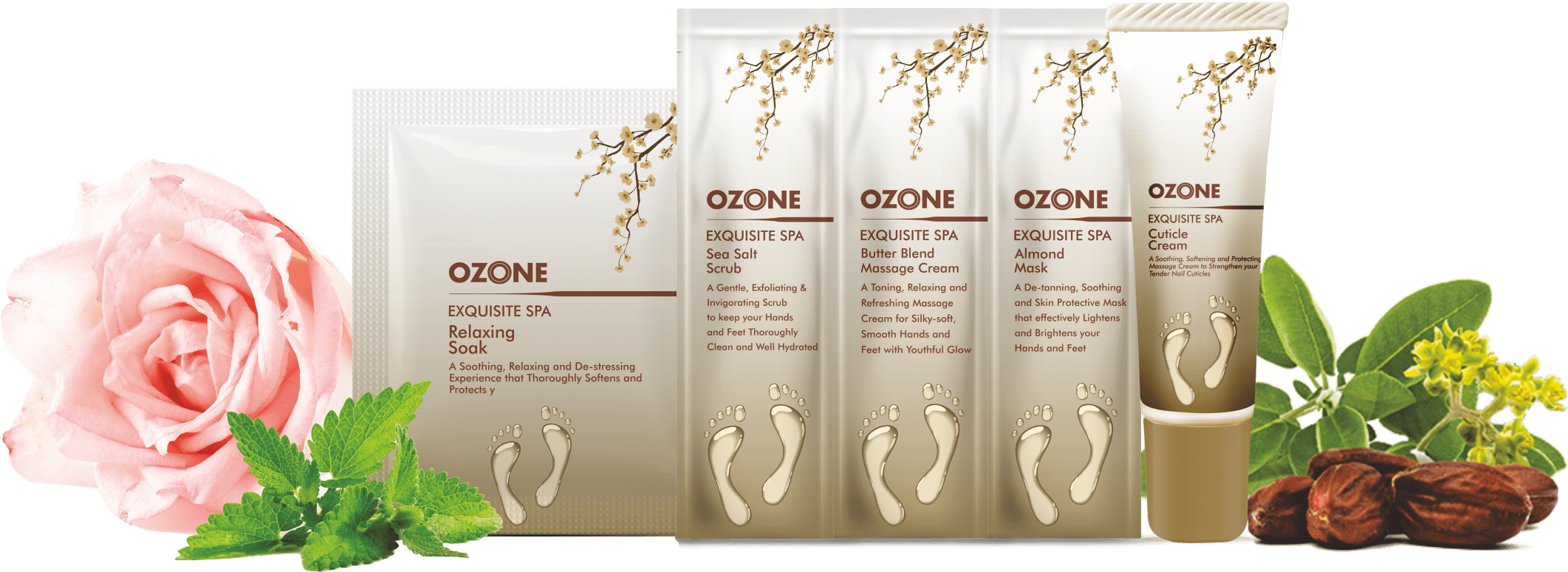 Exquisite Spa Manicure & Pedicure - Mesmara Jojoba Carrier Oil 15 Ml Cold Pressed 100% (2305x1014), Png Download