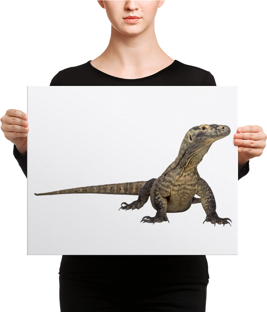 Komodo-dragon Canvas - Mauro Picotto: Deep Lounge Cd (1000x1000), Png Download