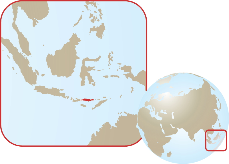 Komodo Dragon - Dispute Over The Diaoyu/senkaku Islands: Challenge (801x576), Png Download