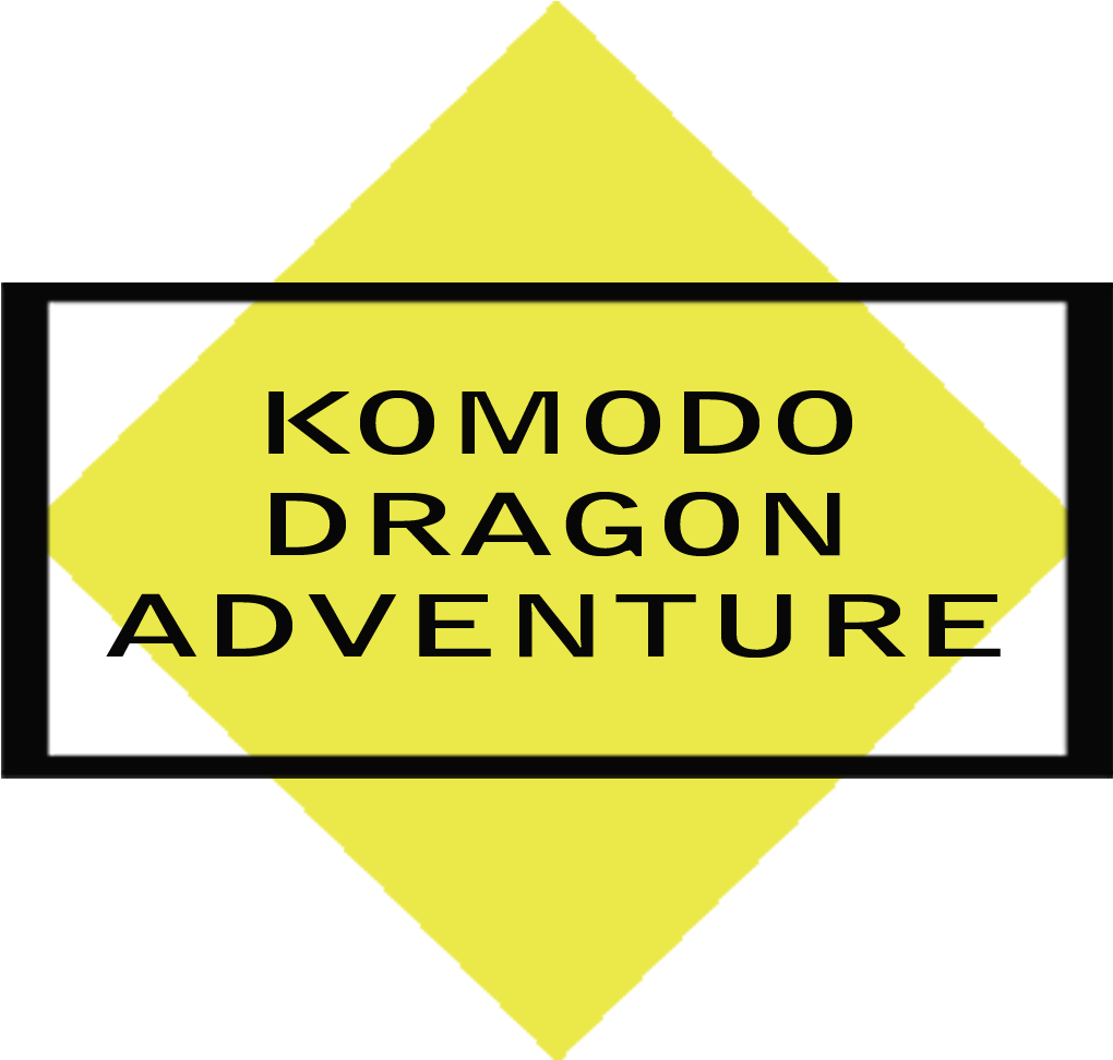 Diva Komodo Adventure - Triangle (1020x1020), Png Download