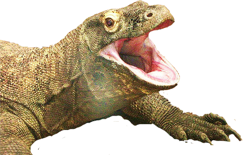 T Rex No Teeth (494x316), Png Download