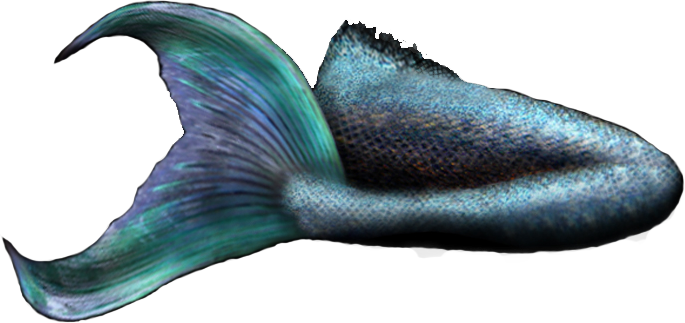 Mermaid Tail 2 Officialpsds - Transparent Mermaid Tail Png (685x323), Png Download