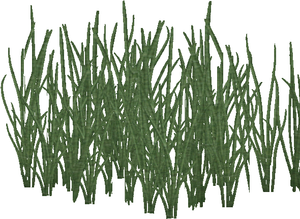 Sago Water Grass - Artificial Turf (650x650), Png Download