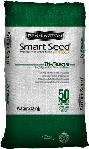 Pennington Tri Fescue Blend (600x600), Png Download
