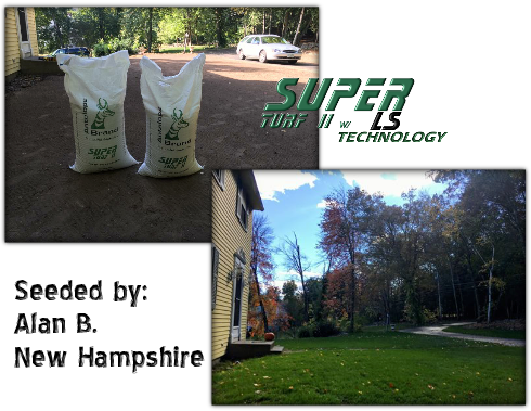 Alan's Lawn Renovation Video Rated - Canoe Birch (490x379), Png Download