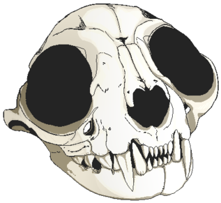 Cat Skull Pixel F2u Byed War H0und-dbbls9i - F2u Pixel Deviantart (400x352), Png Download