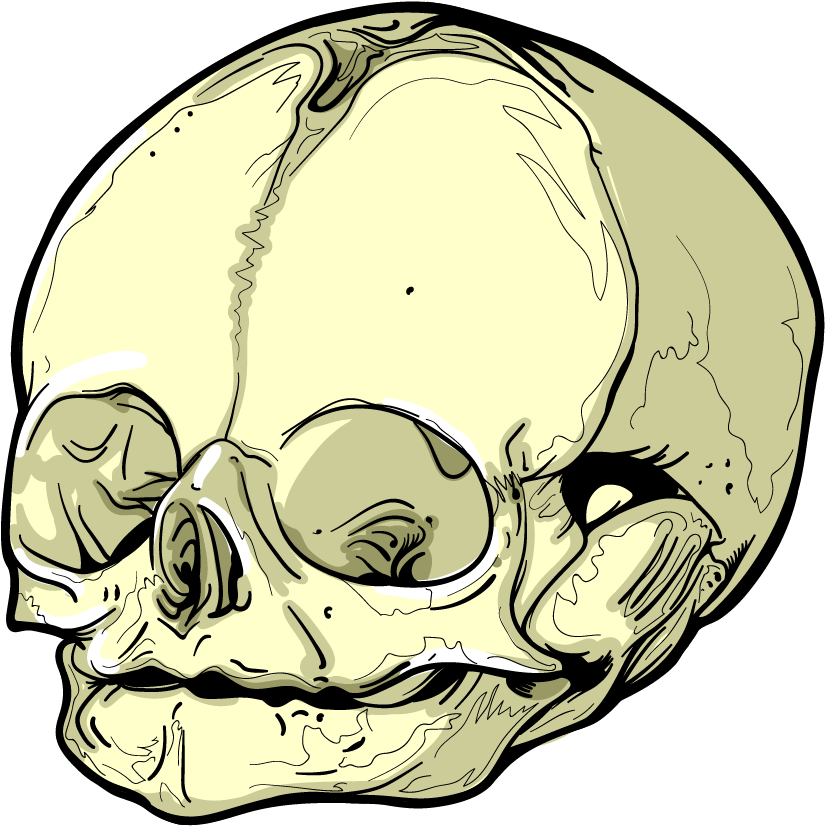 Skull Art Sticker Pack Messages Sticker-4 - Skull (850x850), Png Download