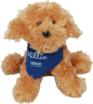Mille Stuffed Plush - Stuffed Animal Dog (550x377), Png Download