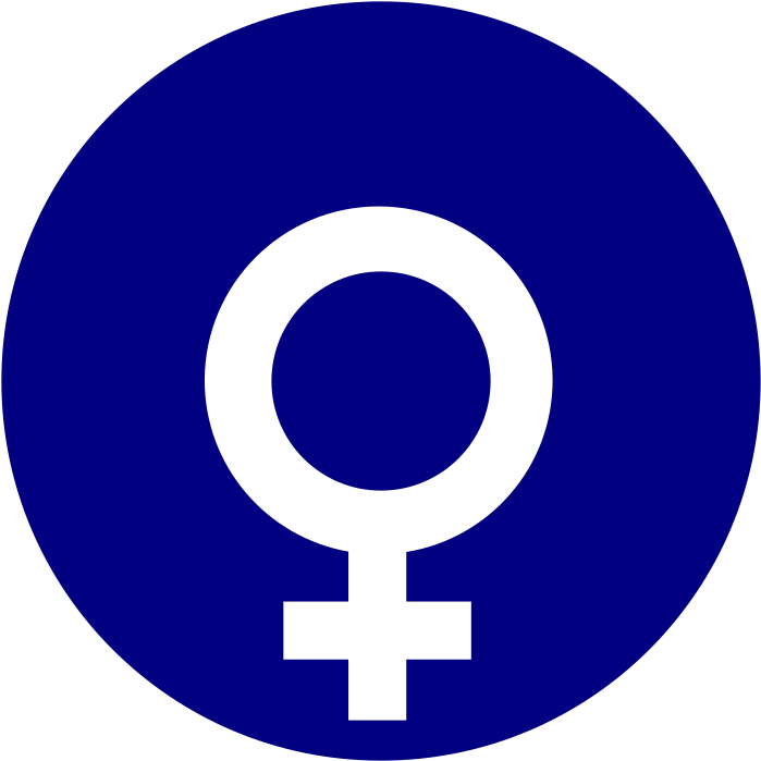 Medium Image - Google Plus Gif Transparent (800x800), Png Download