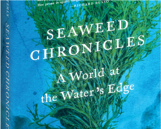 Seaweed Chronicles A World At The Water's Edge (700x445), Png Download