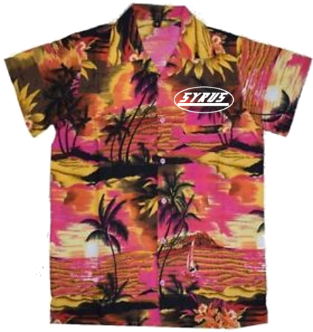 Aloha Shirt (482x500), Png Download