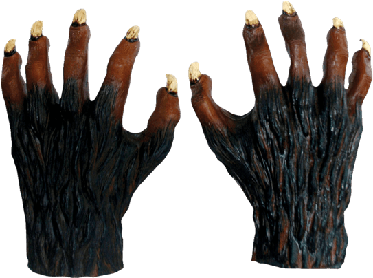 Werewolf Hands - Werewolf Hands Latex Deluxe (555x555), Png Download